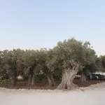 Pensión Relais Dea Degli Ulivi 4*