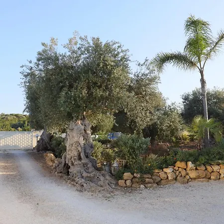 Relais Dea Degli Ulivi Penzion 2*